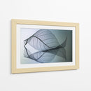 Curvatura - Shihya Kowatari | Cuadro decorativo de Canvas Lab