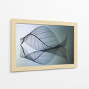 Curvatura - Shihya Kowatari | Cuadro decorativo de Canvas Lab