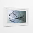 Curvatura - Shihya Kowatari | Cuadro decorativo de Canvas Lab