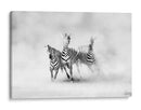 Cebras corriendo en el polvo - Juan Luis Duran | Cuadro decorativo de Canvas Lab