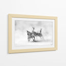 Cebras corriendo en el polvo - Juan Luis Duran | Cuadro decorativo de Canvas Lab