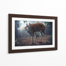 Cuadro decorativo de Canvas Lab