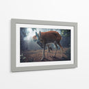 Cuadro decorativo de Canvas Lab