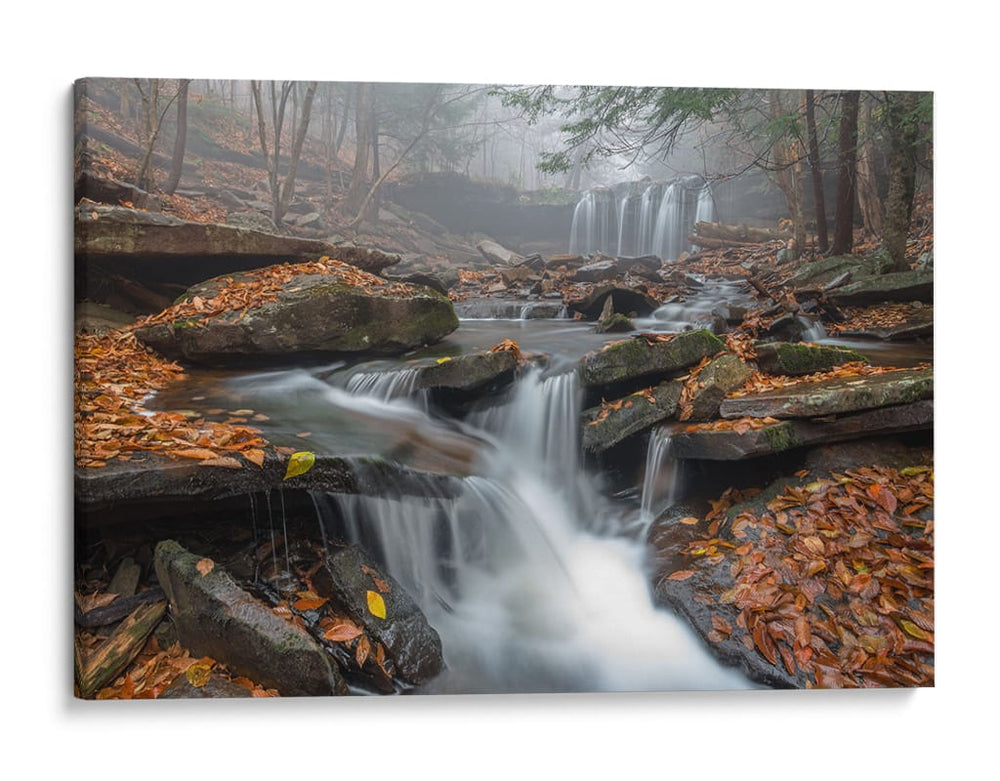 Cascada brumosa de otoño - Nick Kalathas | Cuadro decorativo de Canvas Lab