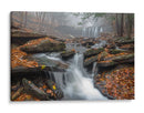Cascada brumosa de otoño - Nick Kalathas | Cuadro decorativo de Canvas Lab