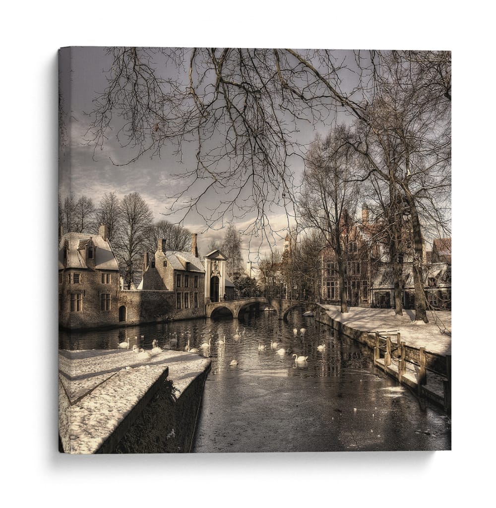 Cisnes de los canales en invierno - Yvette Depaepe | Cuadro decorativo de Canvas Lab