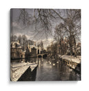 Cisnes de los canales en invierno - Yvette Depaepe | Cuadro decorativo de Canvas Lab