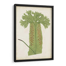 Fernia De Helecho V - Lowe | Cuadro decorativo de Canvas Lab