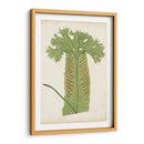 Fernia De Helecho V - Lowe | Cuadro decorativo de Canvas Lab