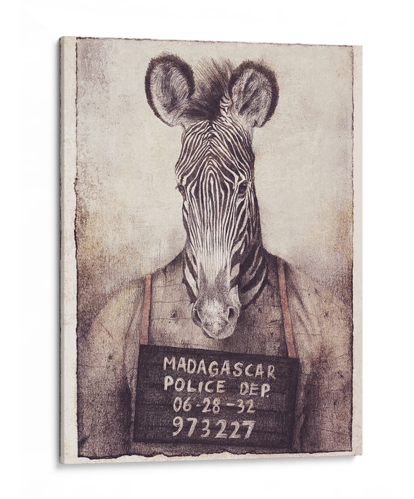 El misterio de la foto policial de la cebra - Mike Koubou | Cuadro decorativo de Canvas Lab