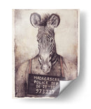 El misterio de la foto policial de la cebra - Mike Koubou | Cuadro decorativo de Canvas Lab