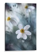 Danza Etérea de Copos de Estrellas del Verano - Mandy Disher | Cuadro decorativo de Canvas Lab