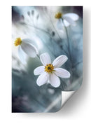 Danza Etérea de Copos de Estrellas del Verano - Mandy Disher | Cuadro decorativo de Canvas Lab