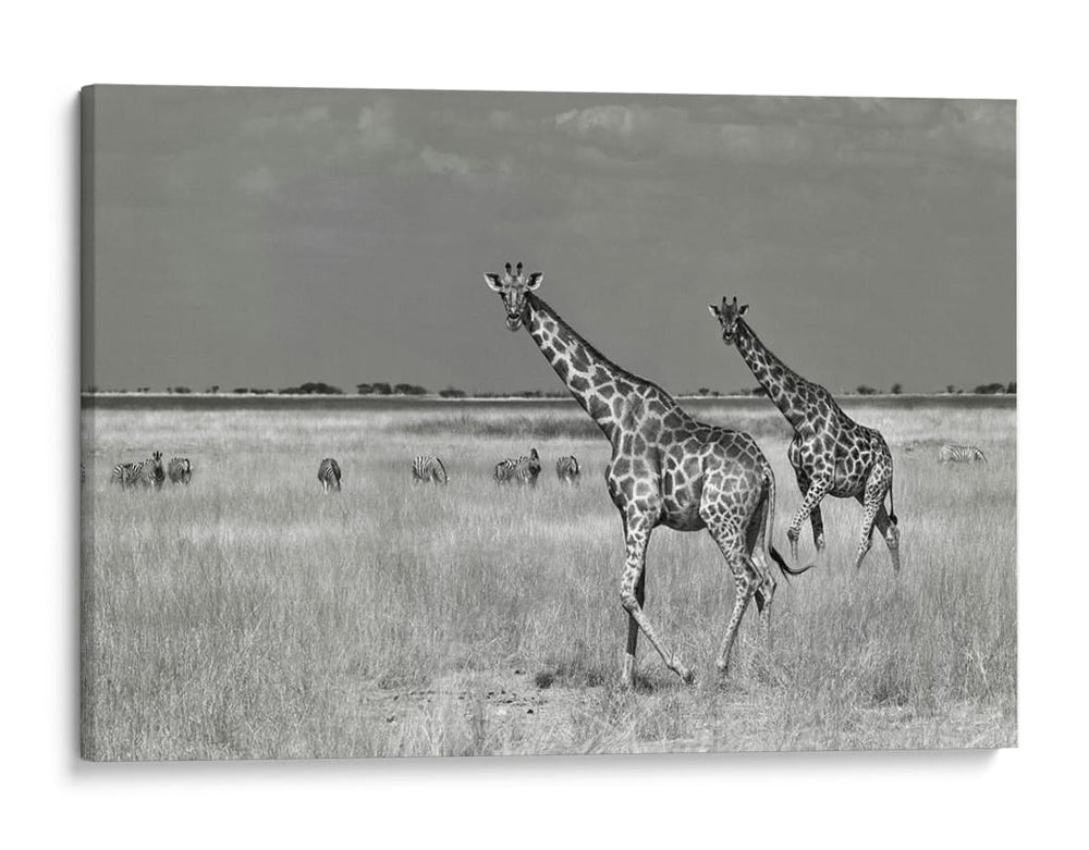 Dos jirafas en la sabana - Mathilde Guillemot | Cuadro decorativo de Canvas Lab