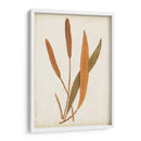 Fernia De Helecho Vi - Lowe | Cuadro decorativo de Canvas Lab