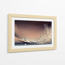 Delicada gota de pluma - Dmitry Doronin | Cuadro decorativo de Canvas Lab
