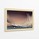 Delicada gota de pluma - Dmitry Doronin | Cuadro decorativo de Canvas Lab