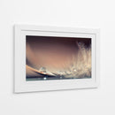 Delicada gota de pluma - Dmitry Doronin | Cuadro decorativo de Canvas Lab