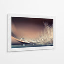 Delicada gota de pluma - Dmitry Doronin | Cuadro decorativo de Canvas Lab