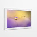 Delicada gota de semilla - Heidi Westum | Cuadro decorativo de Canvas Lab