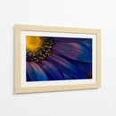 Detalle de flor azul vibrante - Torsteinn H. Ingibergsson | Cuadro decorativo de Canvas Lab