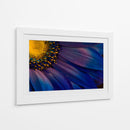 Detalle de flor azul vibrante - Torsteinn H. Ingibergsson | Cuadro decorativo de Canvas Lab