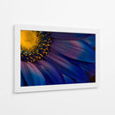Detalle de flor azul vibrante - Torsteinn H. Ingibergsson | Cuadro decorativo de Canvas Lab