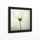Delicada flor blanca - Lotte Gronkjar | Cuadro decorativo de Canvas Lab