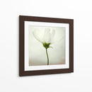Delicada flor blanca - Lotte Gronkjar | Cuadro decorativo de Canvas Lab