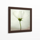 Delicada flor blanca - Lotte Gronkjar | Cuadro decorativo de Canvas Lab