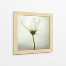 Delicada flor blanca - Lotte Gronkjar | Cuadro decorativo de Canvas Lab