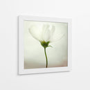 Delicada flor blanca - Lotte Gronkjar | Cuadro decorativo de Canvas Lab
