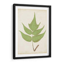 Fernia De Helecho Vii - Lowe | Cuadro decorativo de Canvas Lab