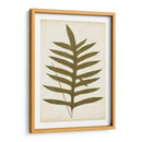 Fernia De Helecho Viii - Lowe | Cuadro decorativo de Canvas Lab