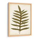 Fernia De Helecho Viii - Lowe | Cuadro decorativo de Canvas Lab