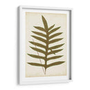 Fernia De Helecho Viii - Lowe | Cuadro decorativo de Canvas Lab