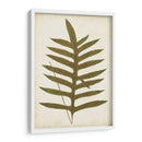 Fernia De Helecho Viii - Lowe | Cuadro decorativo de Canvas Lab