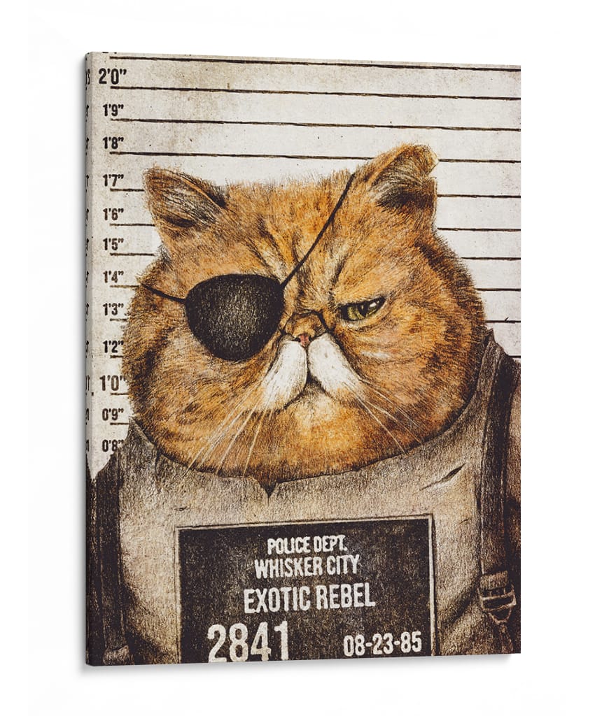 Gato gracioso - Mike Koubou | Cuadro decorativo de Canvas Lab