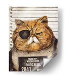 Gato gracioso - Mike Koubou | Cuadro decorativo de Canvas Lab