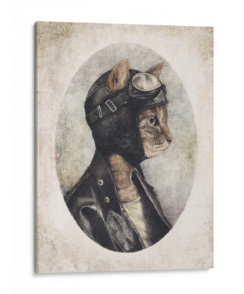Gato elegante con chaqueta de cuero - Mike Koubou | Cuadro decorativo de Canvas Lab