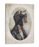 Gato elegante con chaqueta de cuero - Mike Koubou | Cuadro decorativo de Canvas Lab