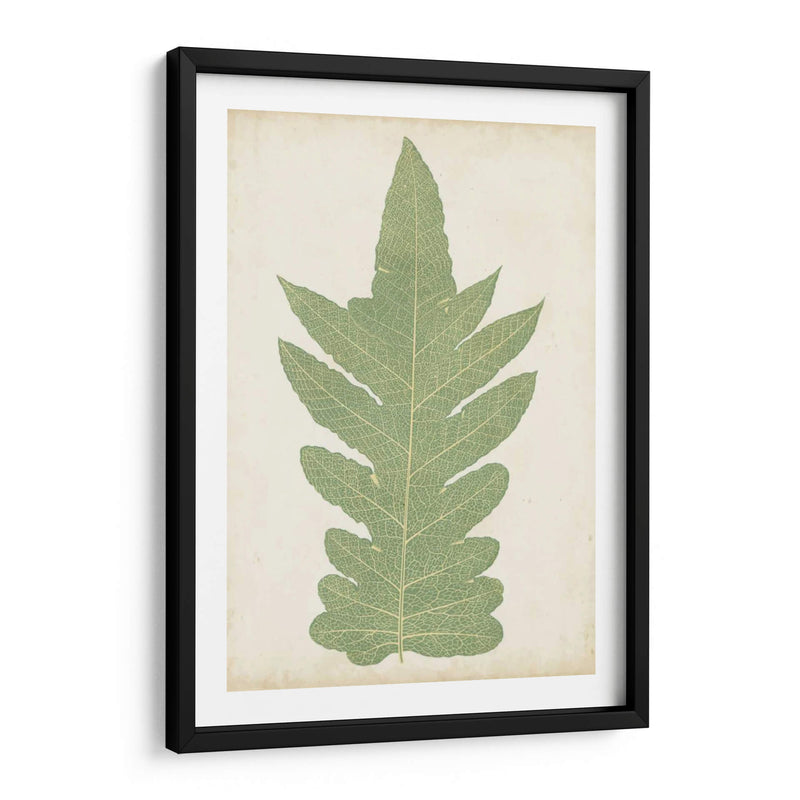 Fernia Fern Ix - Lowe | Cuadro decorativo de Canvas Lab