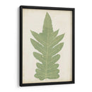 Fernia Fern Ix - Lowe | Cuadro decorativo de Canvas Lab