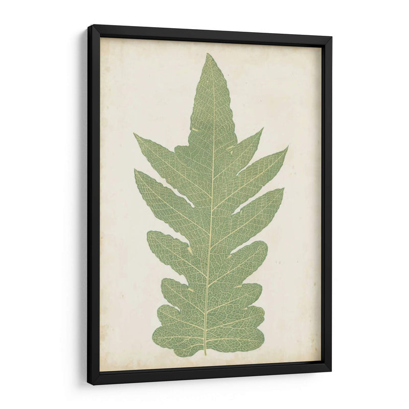 Fernia Fern Ix - Lowe | Cuadro decorativo de Canvas Lab