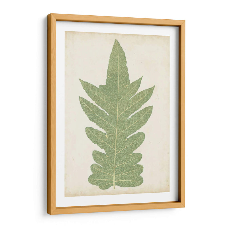 Fernia Fern Ix - Lowe | Cuadro decorativo de Canvas Lab