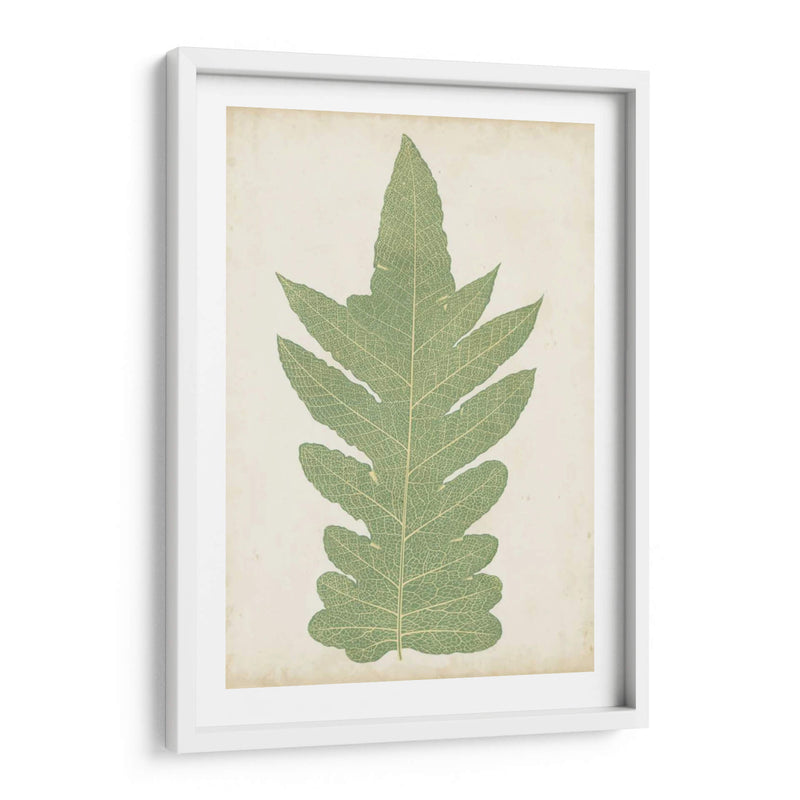 Fernia Fern Ix - Lowe | Cuadro decorativo de Canvas Lab