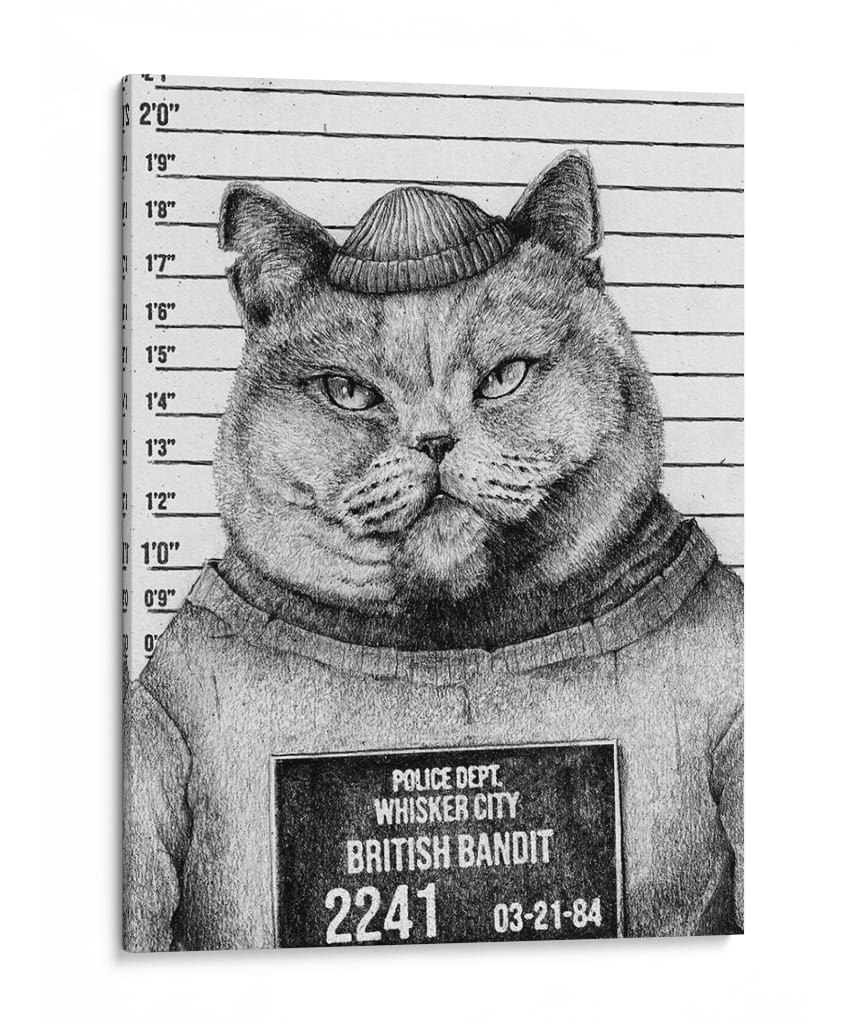 Gato en una rueda de reconocimiento policial - Mike Koubou | Cuadro decorativo de Canvas Lab