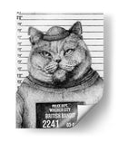 Gato en una rueda de reconocimiento policial - Mike Koubou | Cuadro decorativo de Canvas Lab