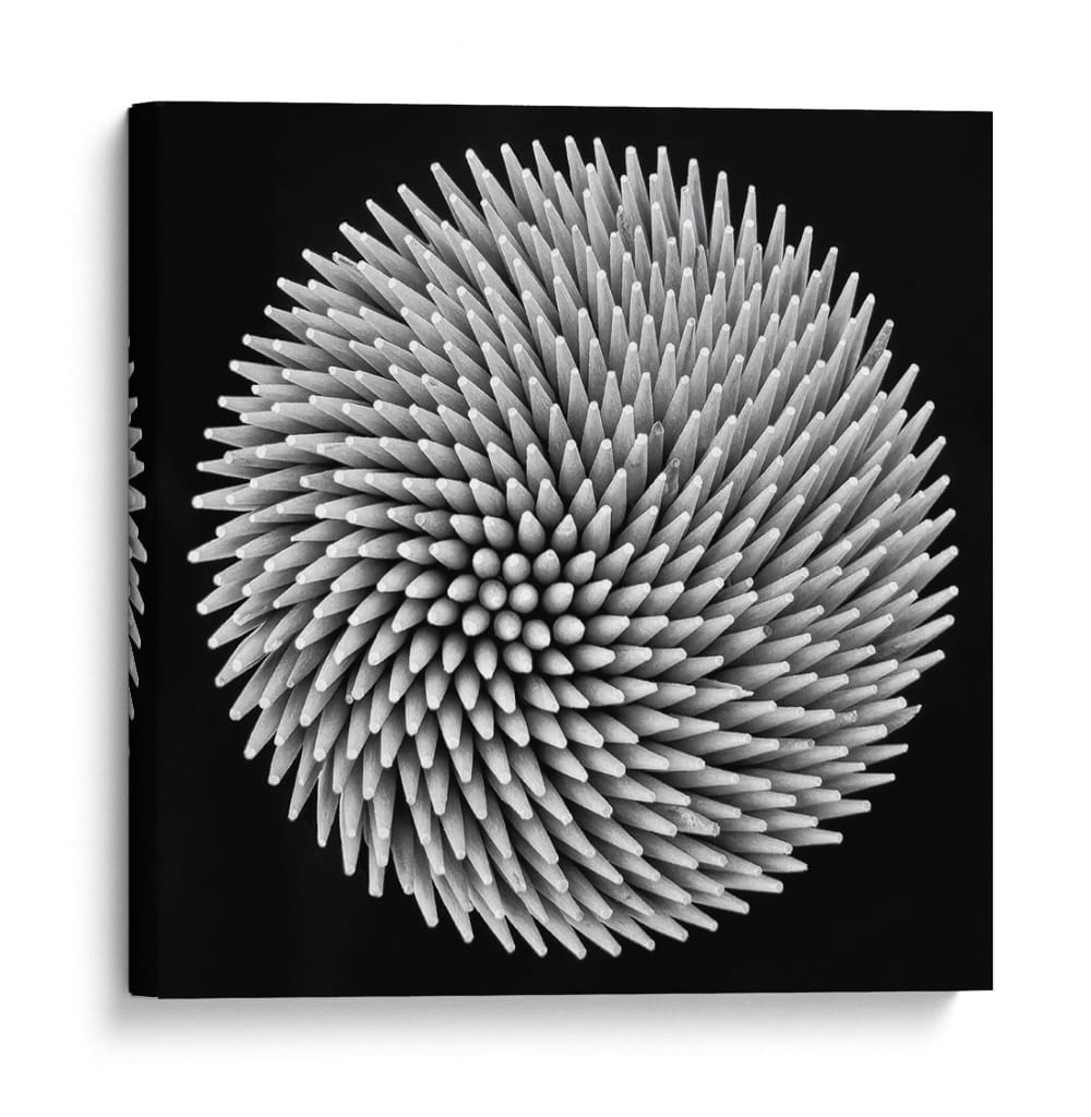 Espiral abstracta de palillo de dientes - Giorgio Toniolo | Cuadro decorativo de Canvas Lab