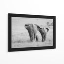 Familia de elefantes africanos - Ali Khataw | Cuadro decorativo de Canvas Lab